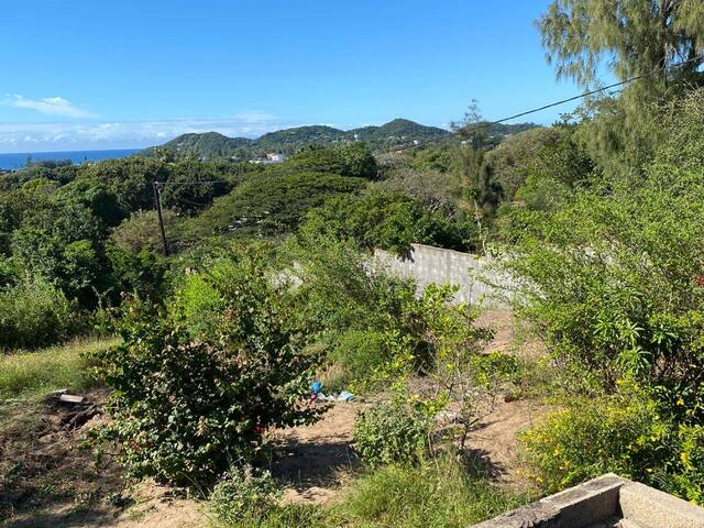 Venda em PONTA DE OURO - Maputo