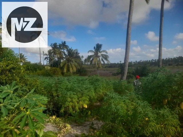 #555 - Terreno para Venda em Inhambane - Inhambane