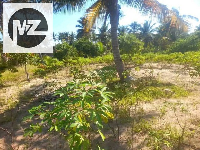 #565 - Terreno para Venda em Inhambane - Inhambane