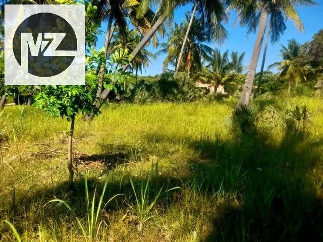 #565 - Terreno para Venda em Inhambane - Inhambane