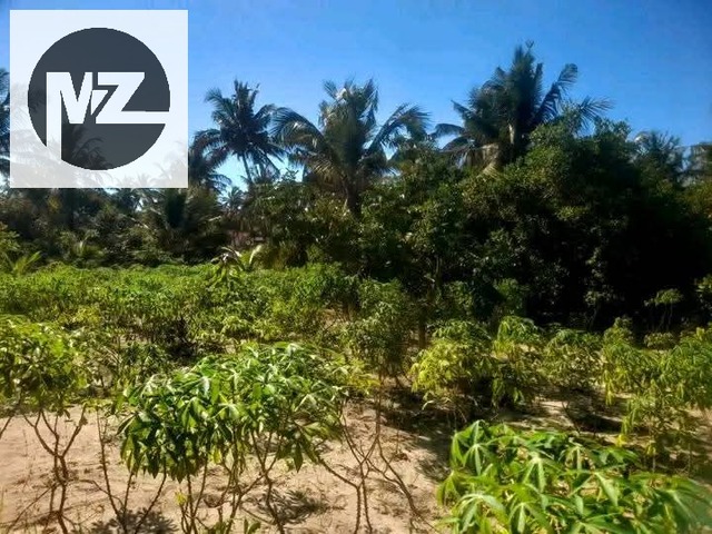 #565 - Terreno para Venda em Inhambane - Inhambane