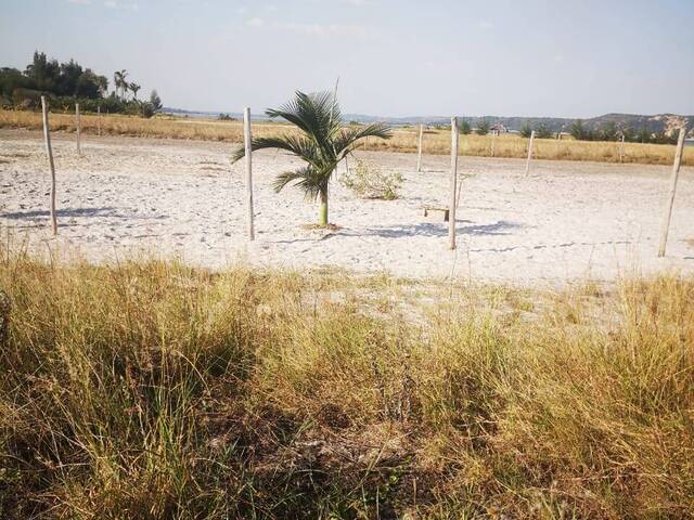 #569 - Terreno para Venda em Bilene - Gaza