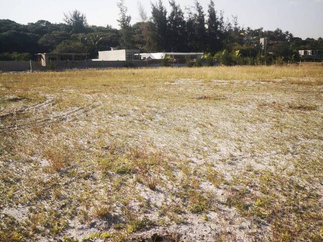 Terreno para Venda em Bilene - 4