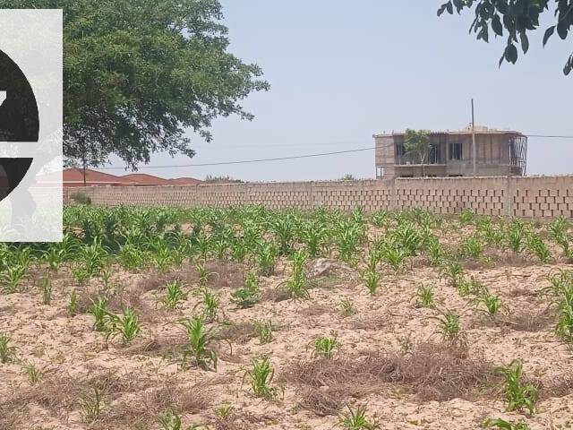 #638 - Terreno para Venda em Maputo - Maputo - 1