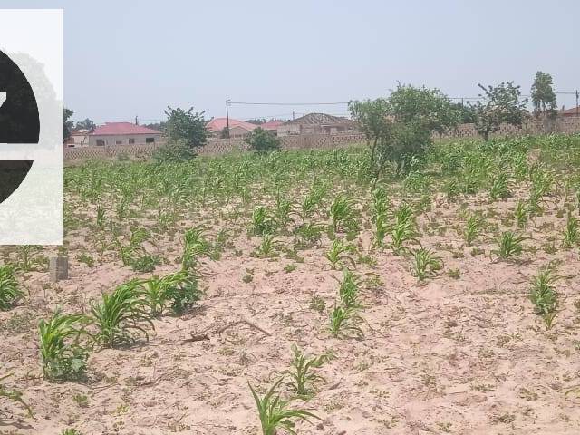 #638 - Terreno para Venda em Maputo - Maputo - 2