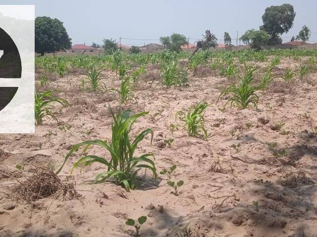 Terreno para Venda em Maputo - 4