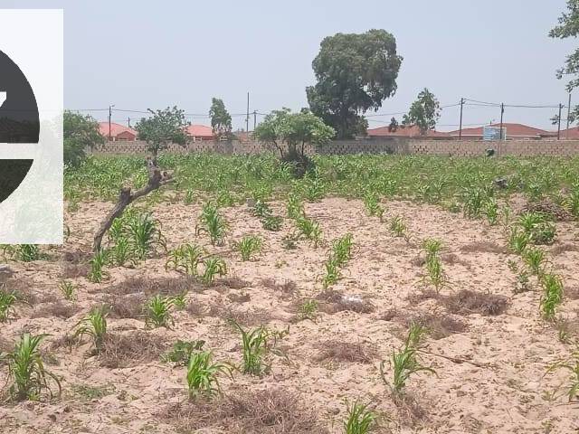 Terreno para Venda em Maputo - 5