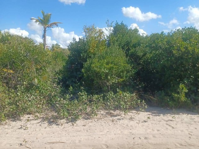 #689 - Terreno para Venda em Inhambane - Inhambane