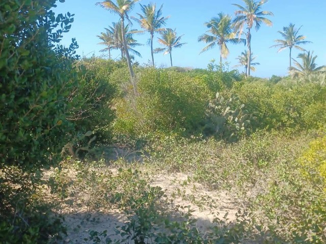 #689 - Terreno para Venda em Inhambane - Inhambane