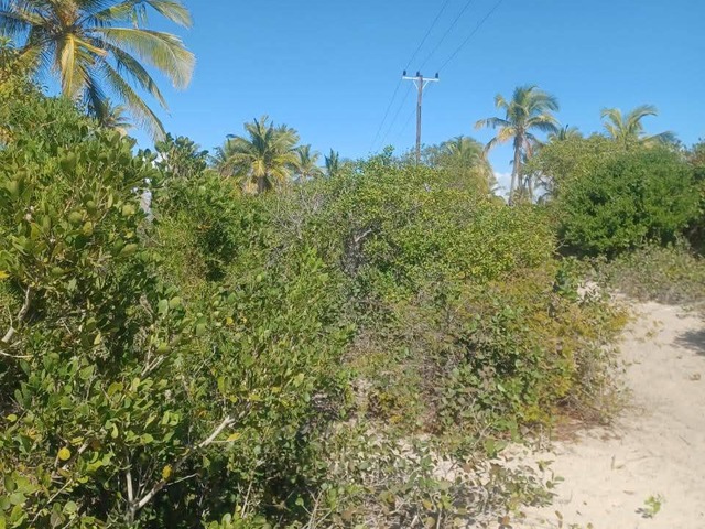 #689 - Terreno para Venda em Inhambane - Inhambane