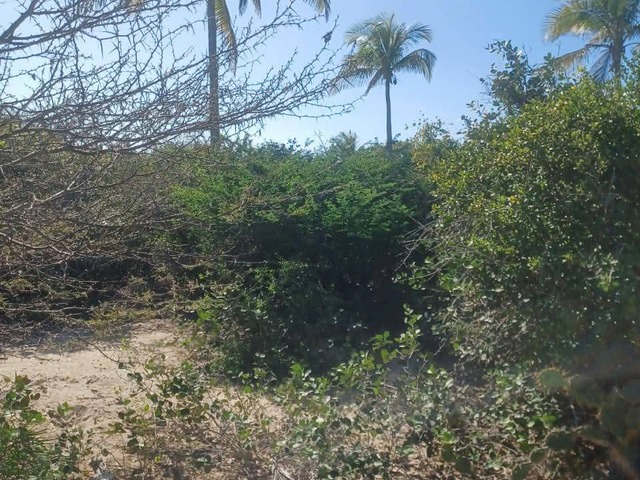 Terreno para Venda em Inhambane - 4