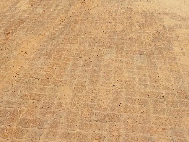 Terreno para Venda em Maputo - 4