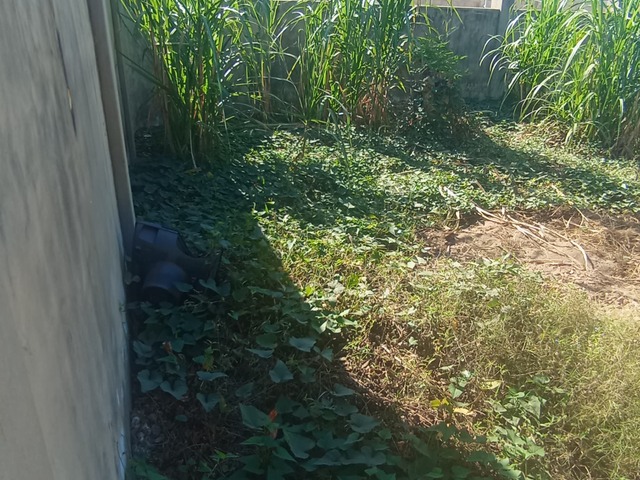 Terreno para Venda em Maputo - 4