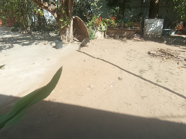 Terreno para Venda em Maputo - 5