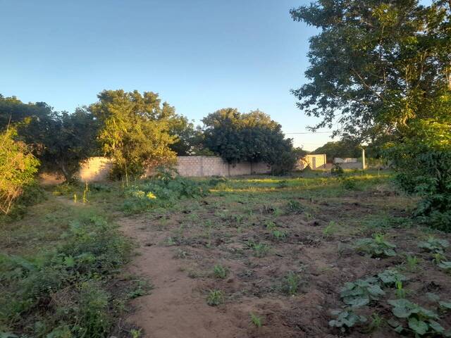 Terreno para Venda em Maputo - 4