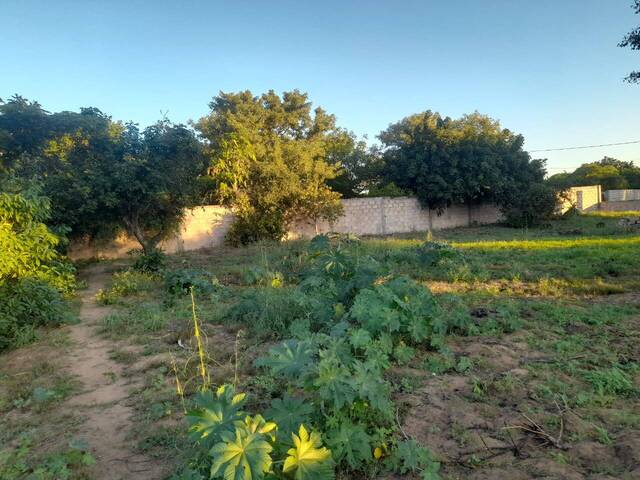 Terreno para Venda em Maputo - 5