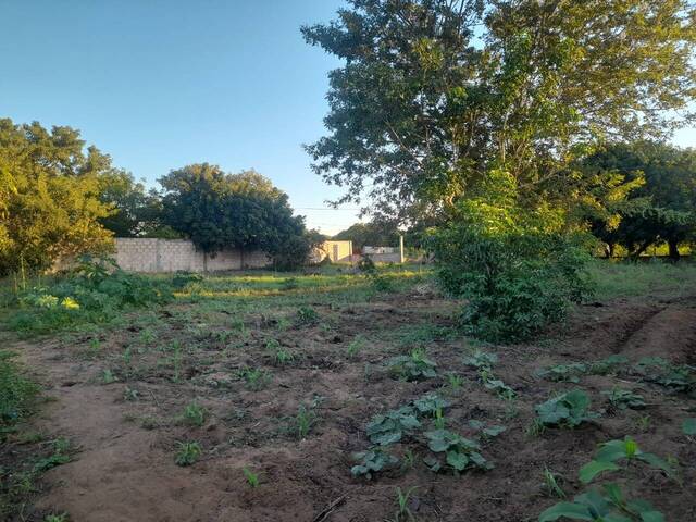 Terreno para Venda em Maputo - 4