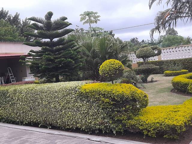 Casa para Venda em Maputo - 3