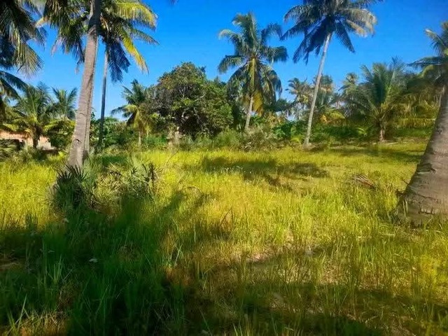 #973 - Terreno para Venda em Inhambane - Inhambane