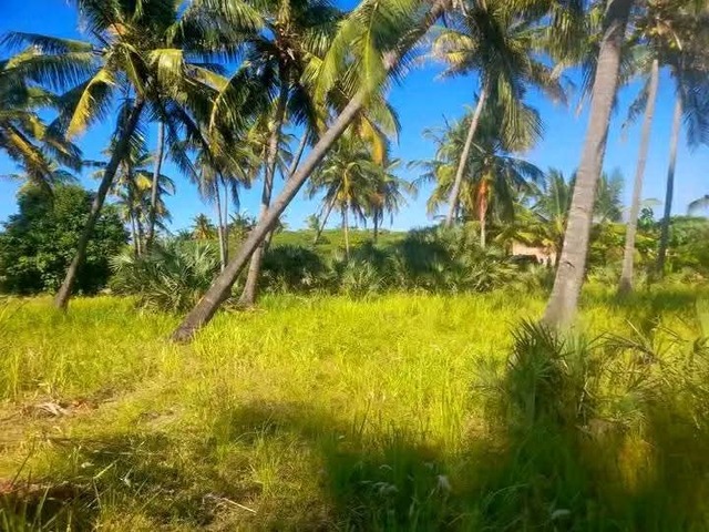 Terreno para Venda em Inhambane - 4
