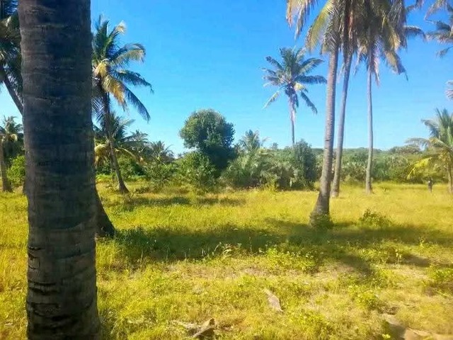 Terreno para Venda em Inhambane - 5