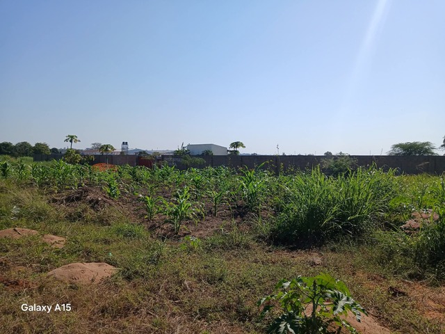 #1004 - Terreno para Venda em Maputo - Maputo