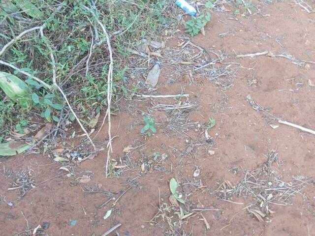 #1017 - Terreno para Venda em Maputo - Maputo