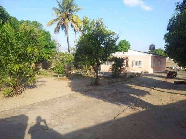 Área para Venda em Maputo - 4