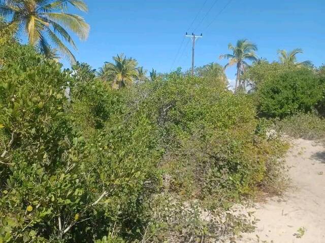 Terreno para Venda em Inhambane - 4