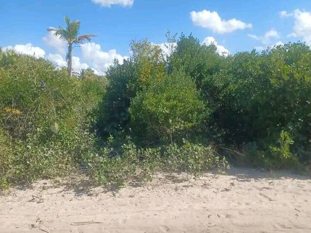 #1032 - Terreno para Venda em Inhambane - Inhambane
