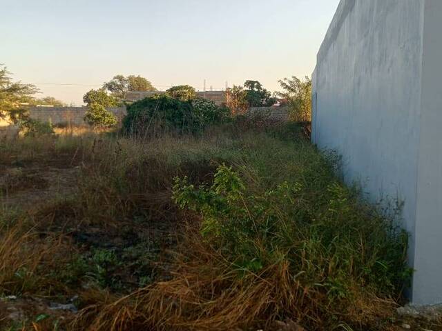 Área para Venda em Maputo - 4