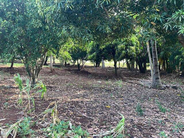 #1061 - Terreno para Venda em Maputo - Maputo