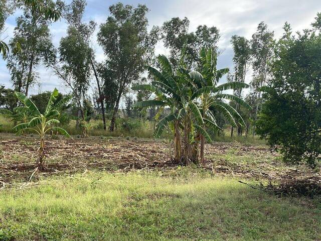 #1061 - Terreno para Venda em Maputo - Maputo