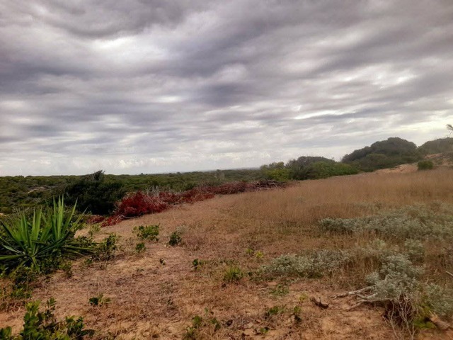Terreno para Venda em Inhambane - 4