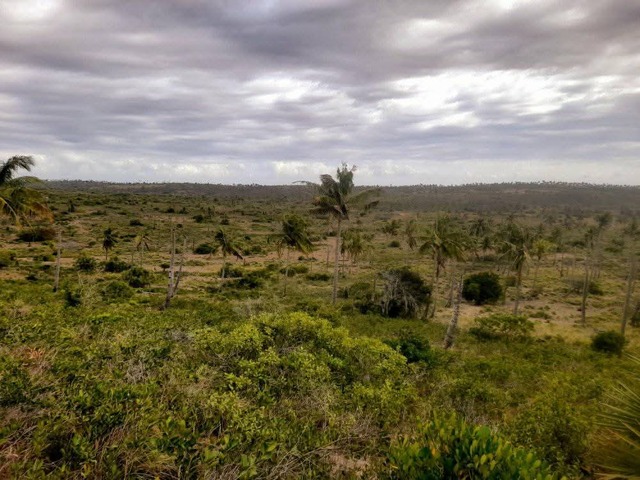 #1095 - Terreno para Venda em Inhambane - Inhambane