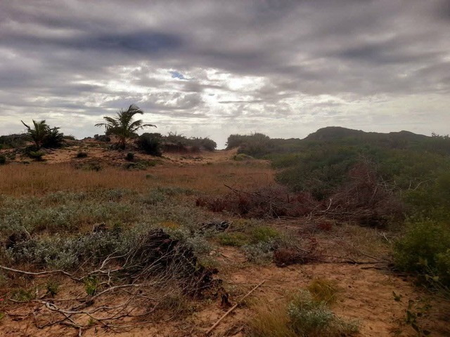 Terreno para Venda em Inhambane - 5
