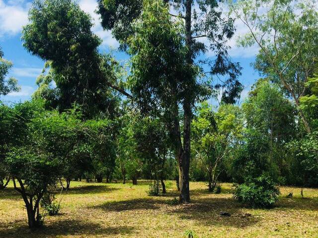 #1117 - Terreno para Venda em Maputo - Maputo