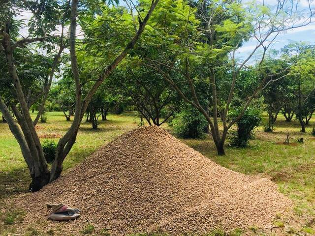 #1117 - Terreno para Venda em Maputo - Maputo