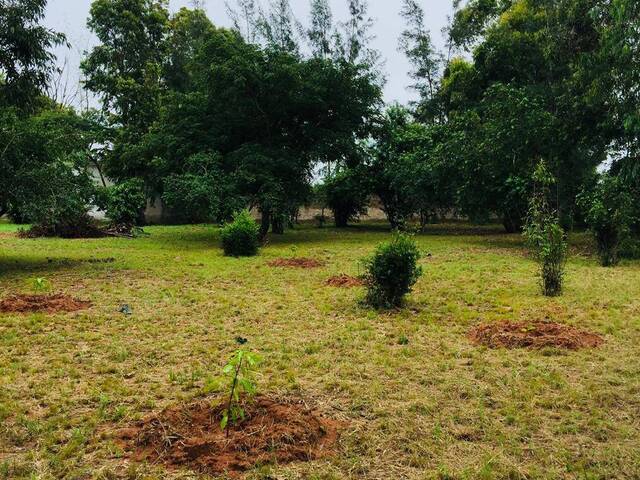#1117 - Terreno para Venda em Maputo - Maputo