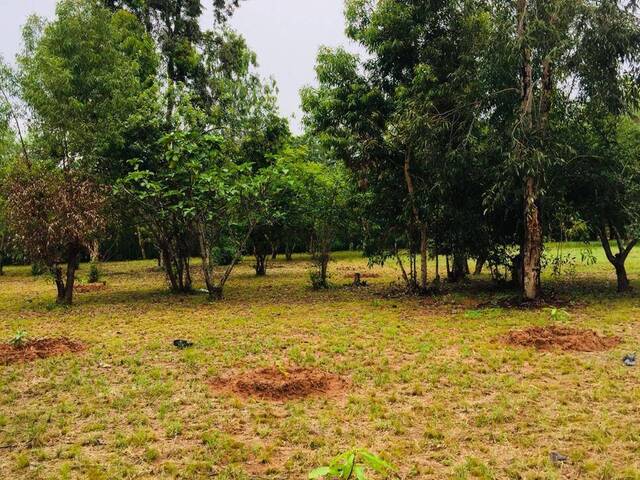 Terreno para Venda em Maputo - 4