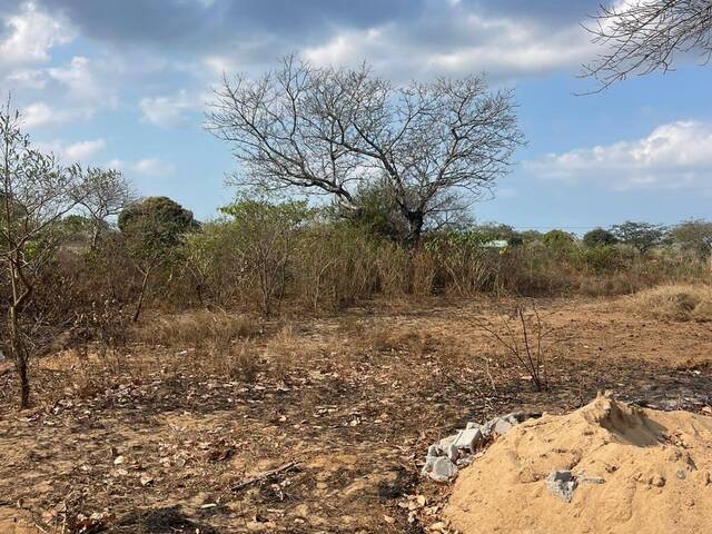 #1125 - Terreno para Venda em Maputo - Maputo