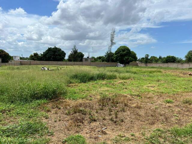 #1185 - Terreno para Venda em Maputo - Maputo