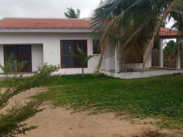 Venda em TOFO - Inhambane