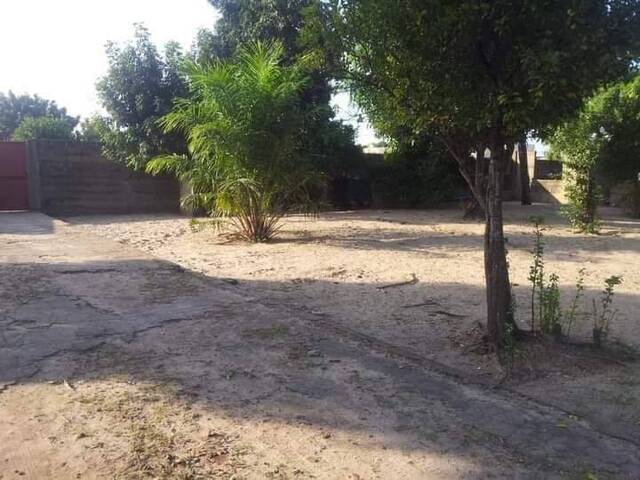 #1370 - Terreno para Venda em Maputo - Maputo