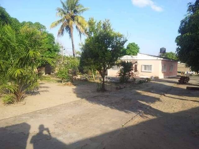 #1370 - Terreno para Venda em Maputo - Maputo