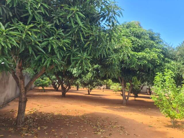 #1410 - Terreno para Venda em Maputo - Maputo
