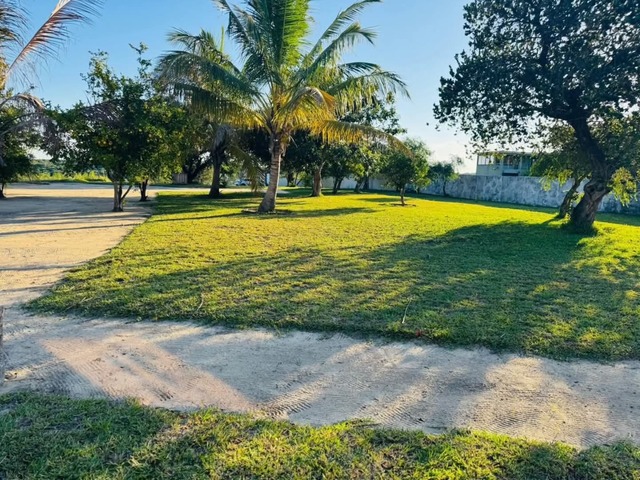 Terreno para Venda em Bilene - 4