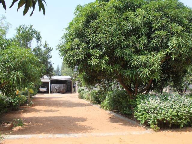 Terreno para Venda em Maputo - 4