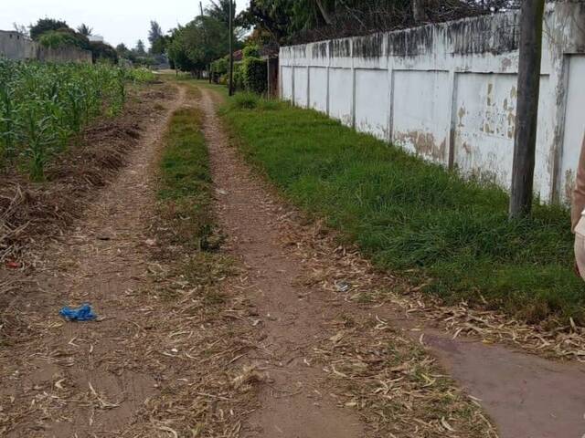 Terreno para Venda em Maputo - 5