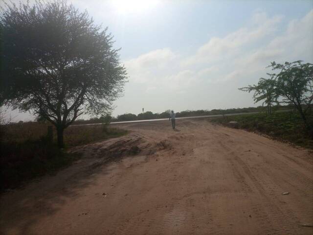 #1499 - Área para Venda em Maputo - Maputo